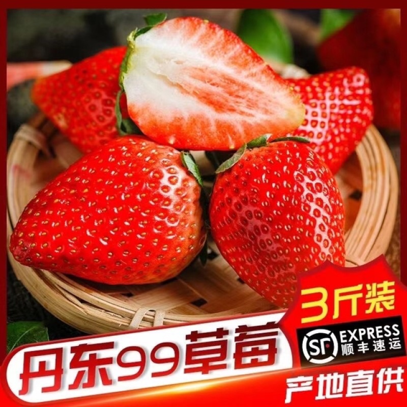 丹东玖玖牛奶草莓地标甄选果子，个大味甜果红