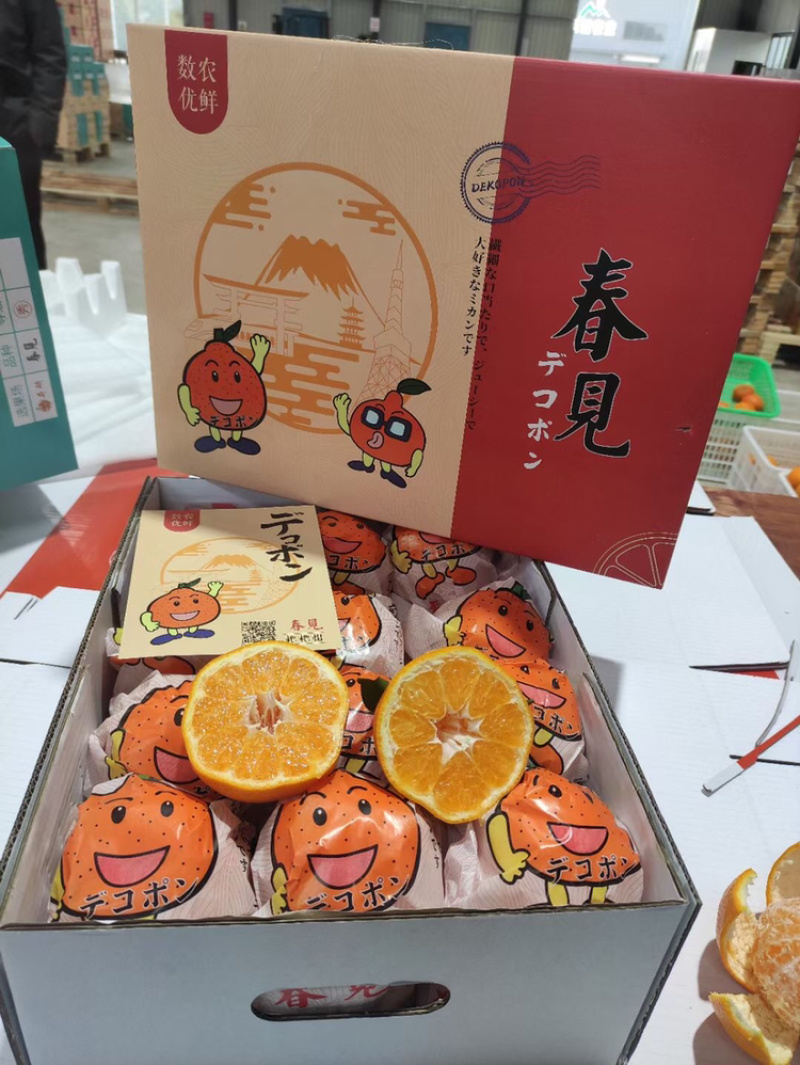 眉山耙耙柑春见整车空运落地配大果礼品盒好吃甜得很
