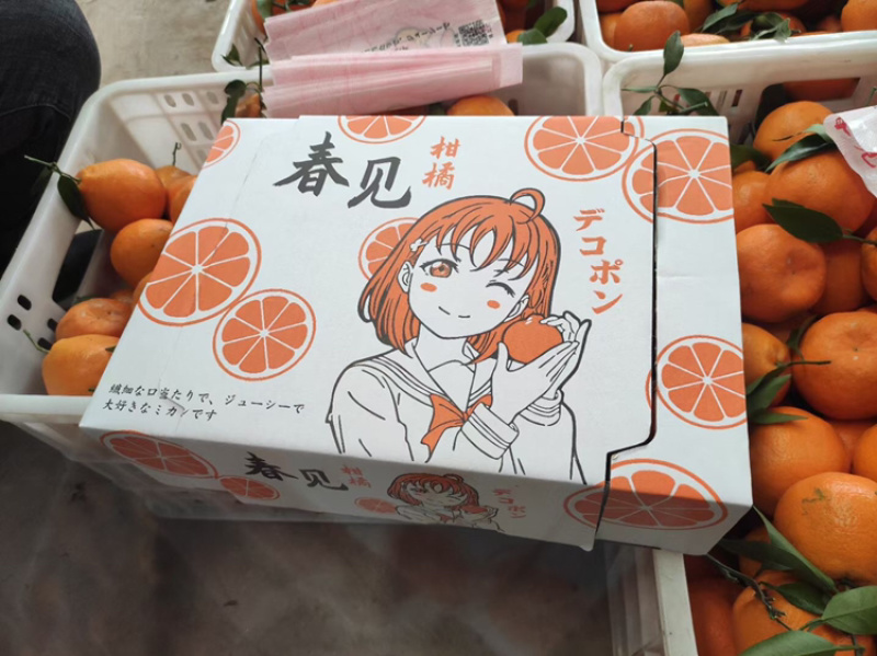 眉山耙耙柑春见整车空运落地配大果礼品盒好吃甜得很