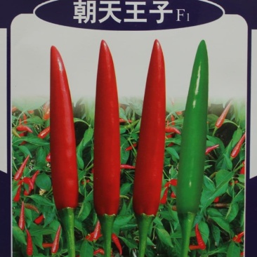 朝天王子朝天椒指天椒小米椒高产辣椒种子一袋五克包邮
