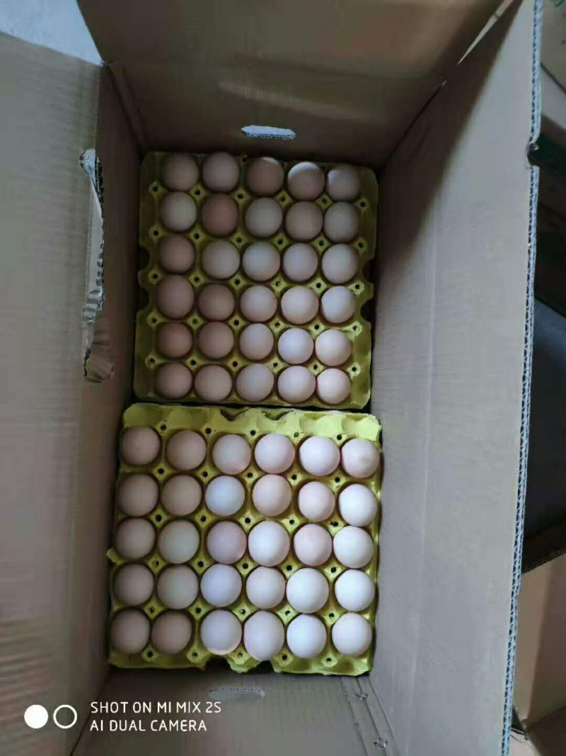 河南鸡蛋，价格每天变动，粉蛋