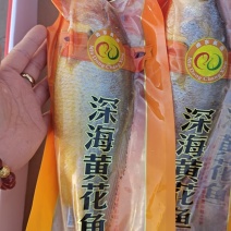 黄花鱼鲜冻，真空包装1盒4条产地直供一手货源大量现货供应