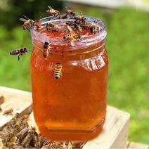 【不真包退】蜂蜜天然纯正野生土蜂蜜农家自产自销百花蜜