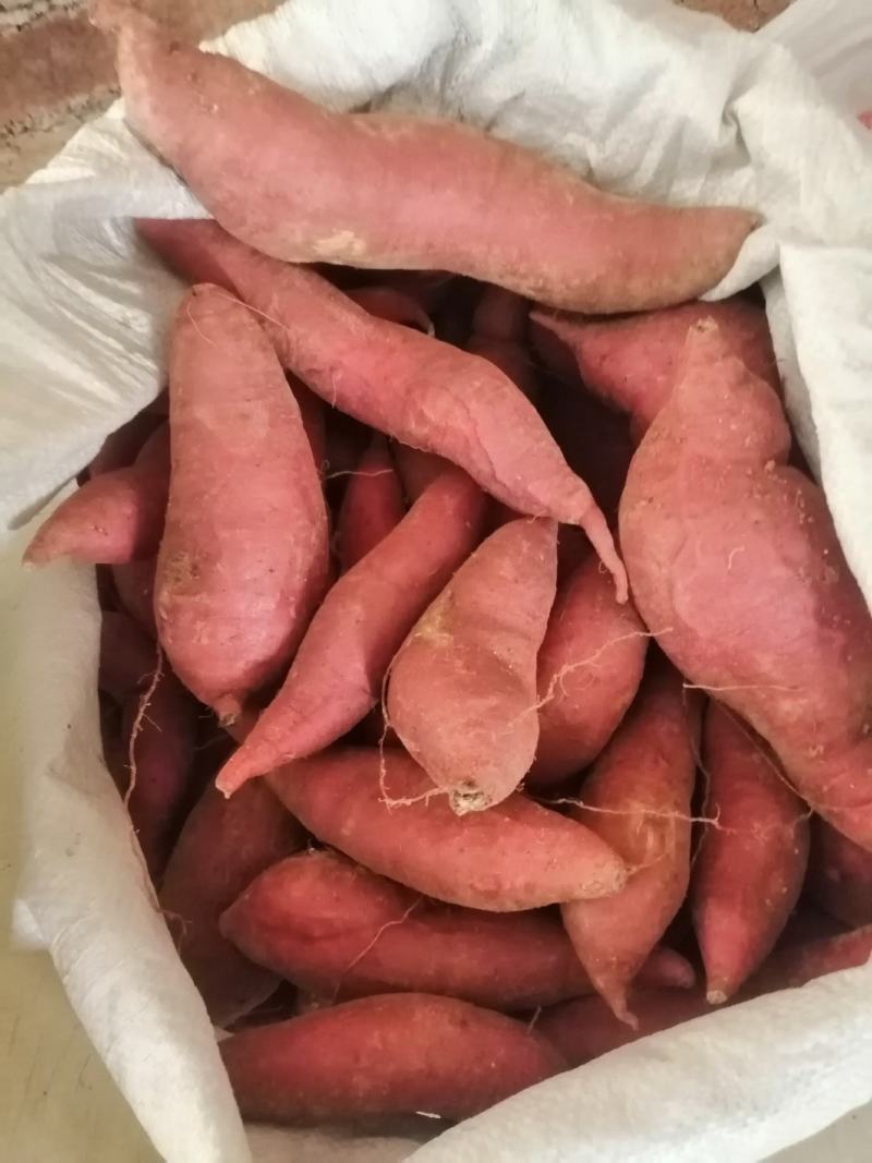 广西贺州西瓜红香甜可口营养价值高