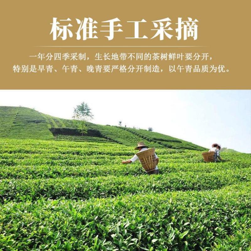 正宗大红袍茶叶浓香型红茶袋装500