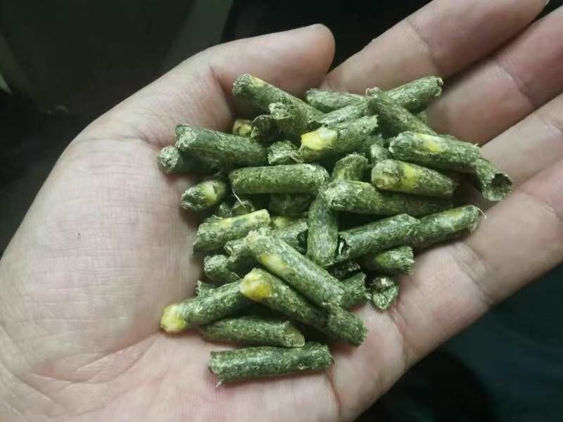牛羊用全日粮配合饲料