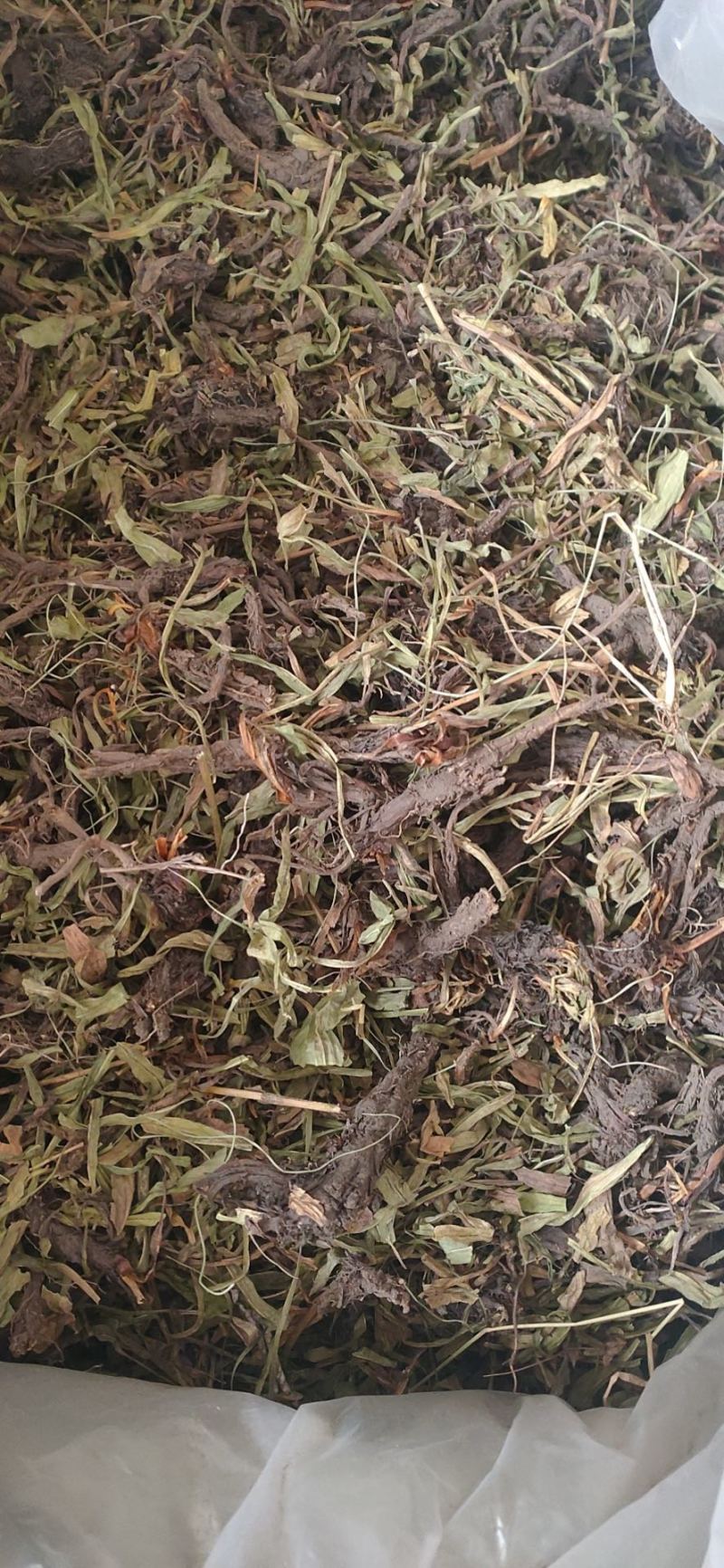 甘松香松甘松草香料大全批发各种中药材产地直销