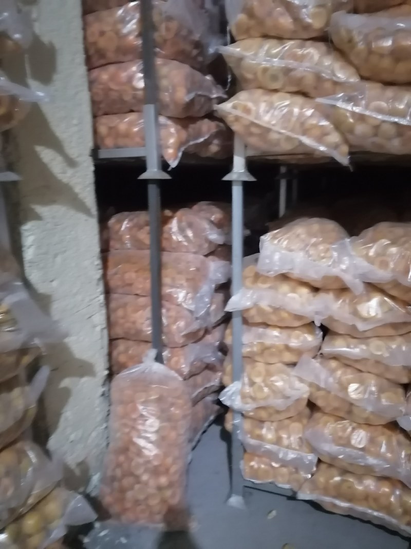 冷冻加工黄桃半供应