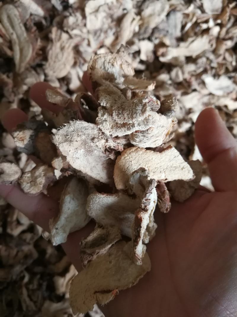 大良姜南姜大良姜片野山姜南姜片良姜个