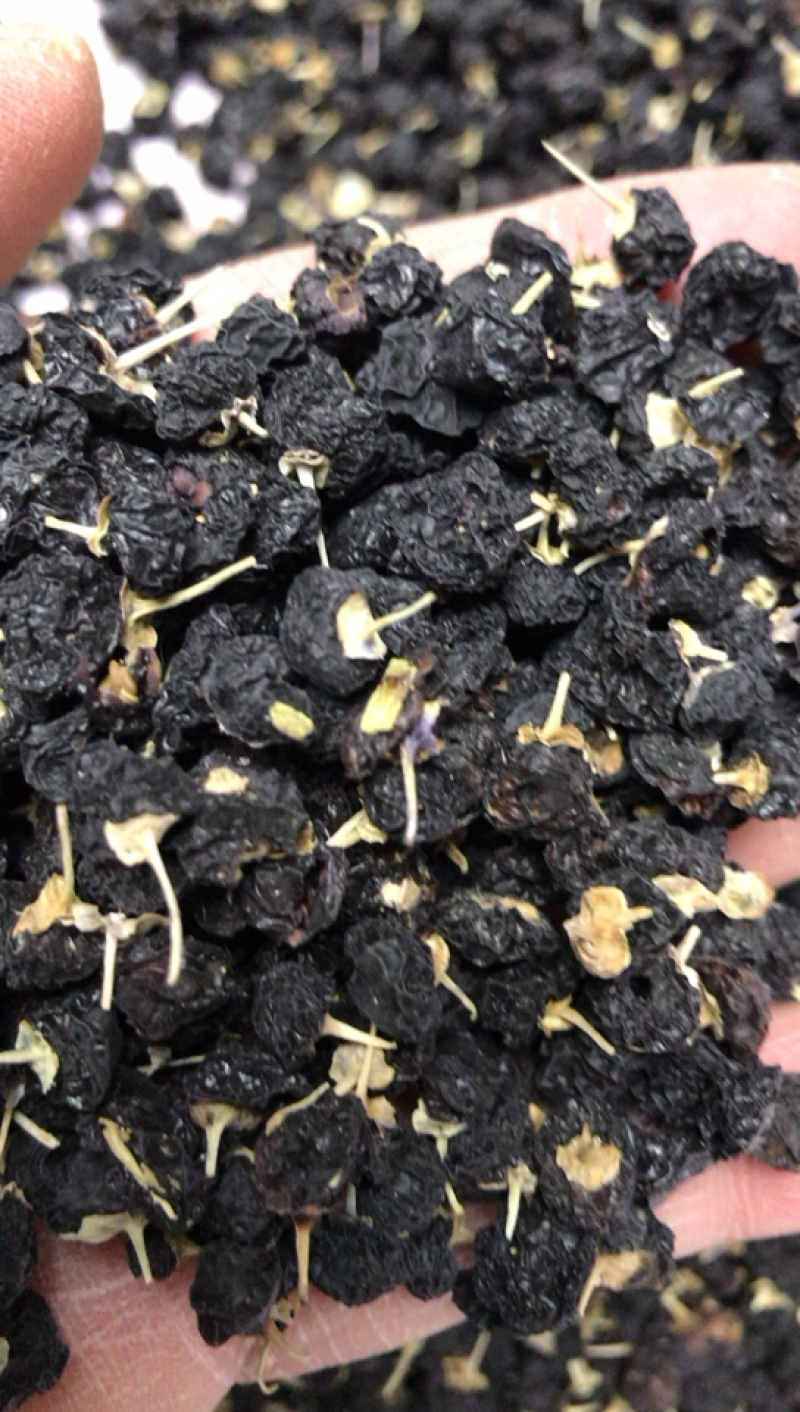 甘肃特产大黑枸杞老百姓自己种植的