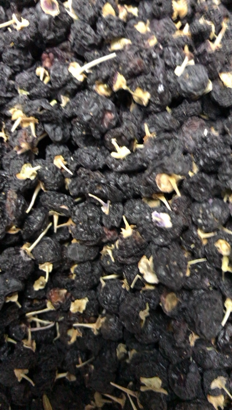 甘肃特产大黑枸杞老百姓自己种植的