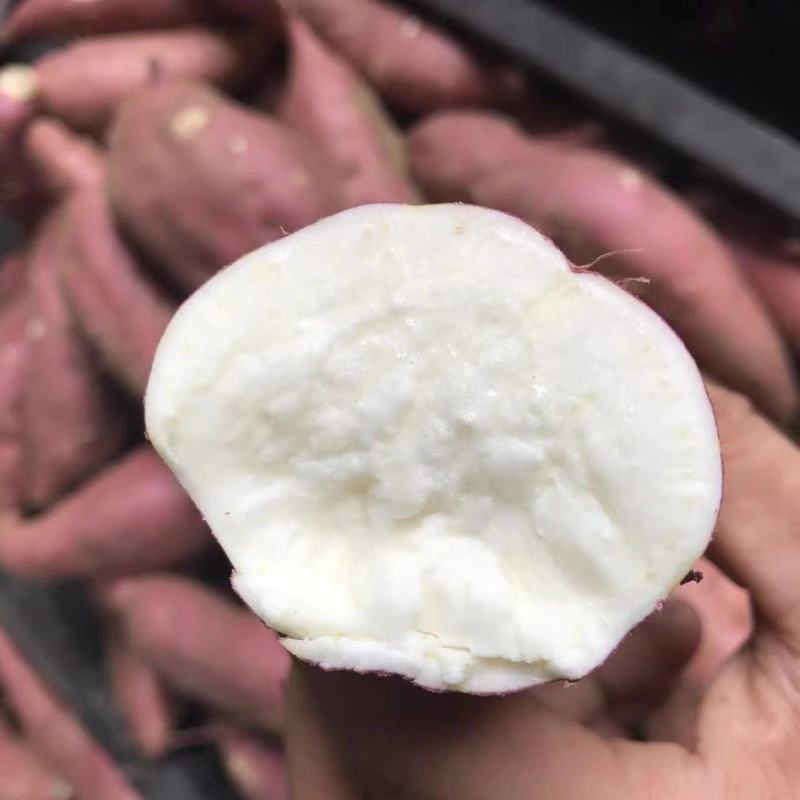 白心奶油白芋、牛奶番薯，红皮白瓤，粉、糯、甜，安徽阜阳