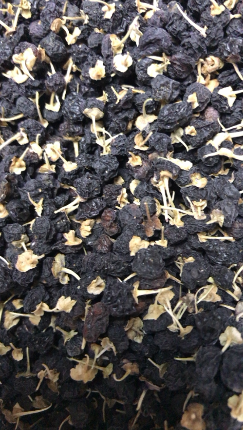 甘肃特产中黑枸杞老百姓自己种植的农作物