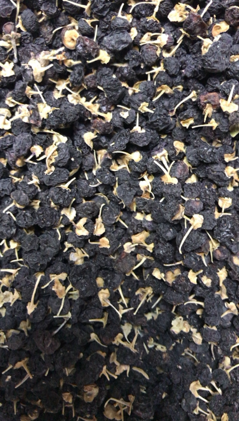 甘肃特产中黑枸杞老百姓自己种植的农作物