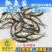 【优质精选】鲫鱼鱼苗快大巨鲫鱼苗鲫鱼水花供应