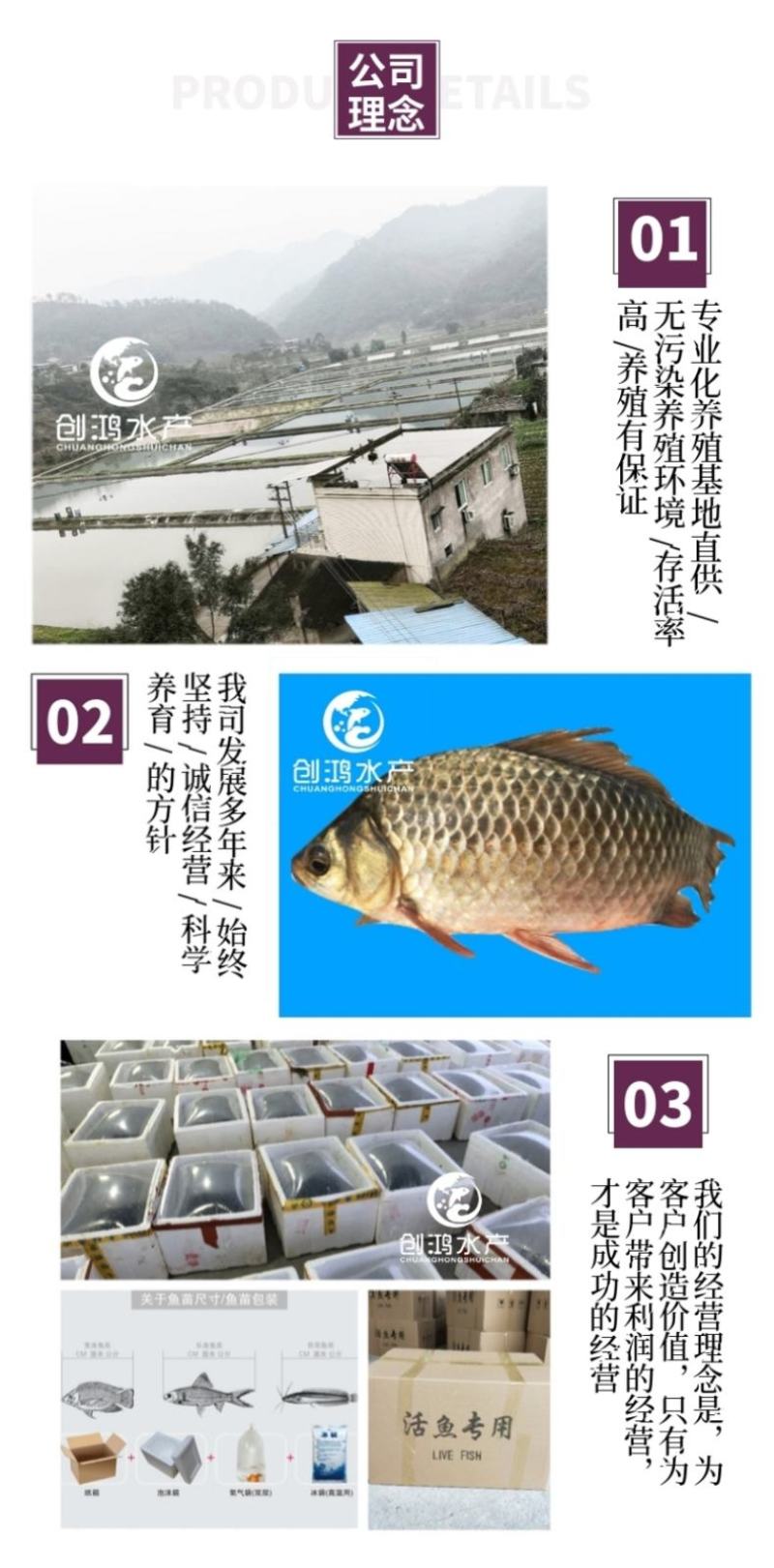 【优质精选】鲫鱼鱼苗快大巨鲫鱼苗鲫鱼水花供应