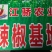 辣椒苗：二金条（软皮、硬皮）艳红、艳椒5号
