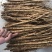 中大长条北沙参(质量保证！鲜新货）客户满意才是我的原则统货