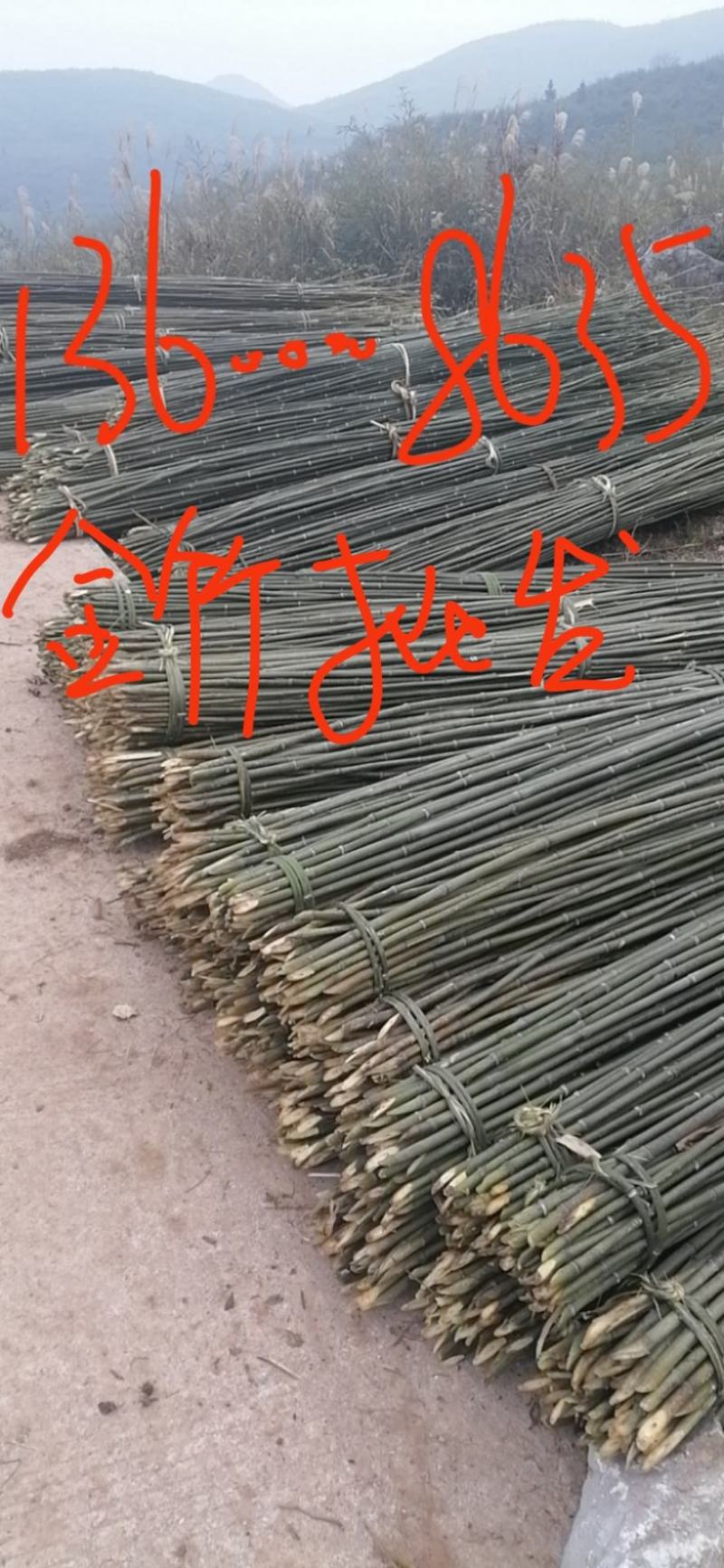 竹竿大量现货，批发供应，竹竿