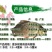 【特价销售】鲫鱼鱼苗中科三号鲫鱼苗白鲫鱼苗东北鲫