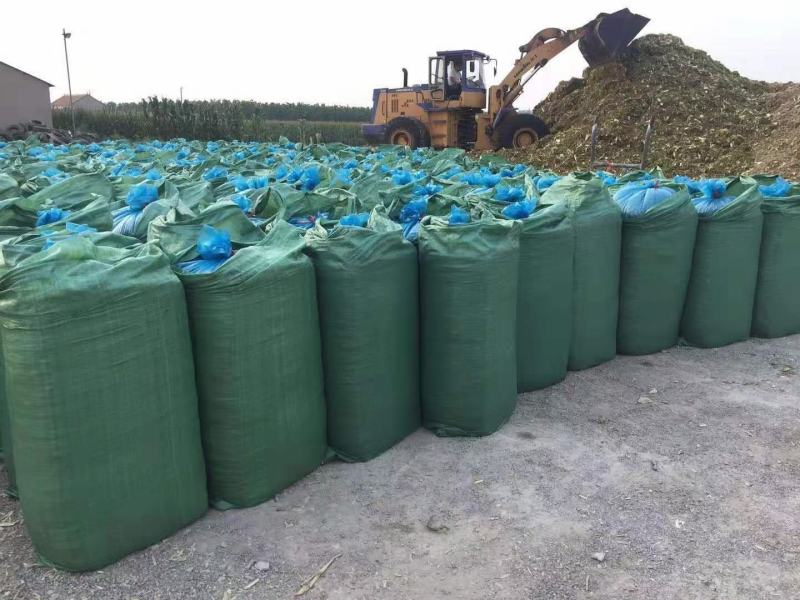 黄储玉米秸秆黄储草料量大优惠全国发货量大从优