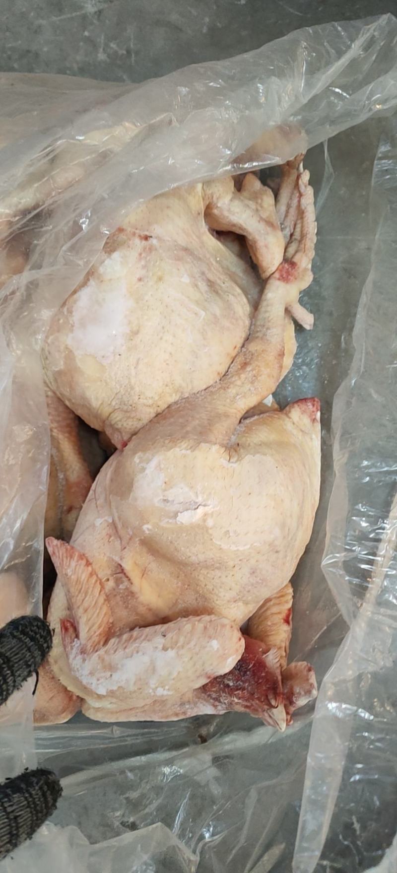 叉骨一车，鸡副，鸡分割品，冻鸡肉，适合电商，加工区批发，