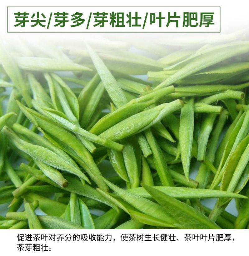 茶叶专用叶面肥茶叶催芽增厚素1000克茶叶壮芽拉尖素