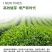 茶叶专用叶面肥茶叶催芽增厚素1000克茶叶壮芽拉尖素