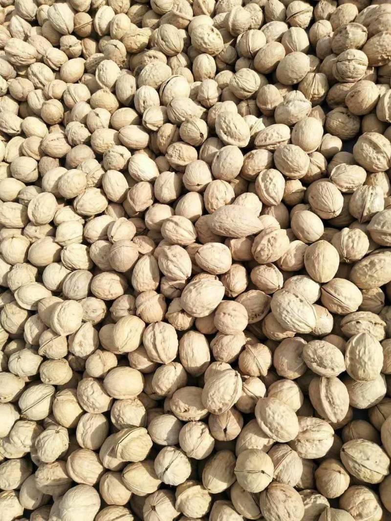 新疆185纸皮核桃，薄皮核桃，产地直发，诚信经营