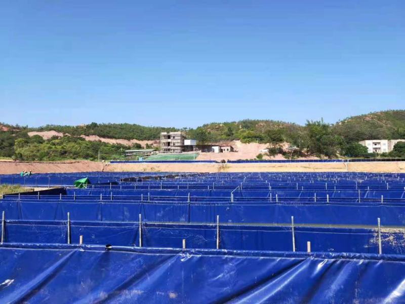 养殖帆布水池大棚鱼池加厚刀刮布水池水蛭龙虾对虾锦鲤鱼水箱