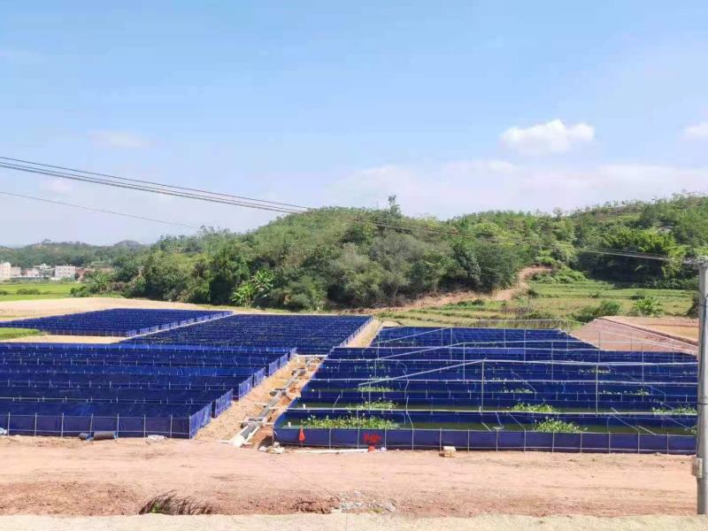 养殖帆布水池大棚鱼池加厚刀刮布水池水蛭龙虾对虾锦鲤鱼水箱