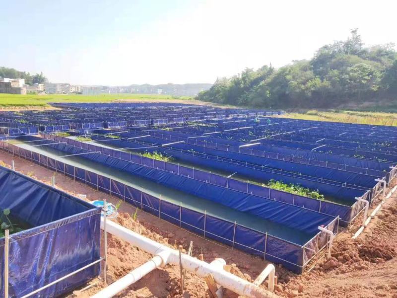 养殖帆布水池大棚鱼池加厚刀刮布水池水蛭龙虾对虾锦鲤鱼水箱