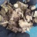 四川地道产区，气味香浓，正品含量好，无农残自然生长川芎片