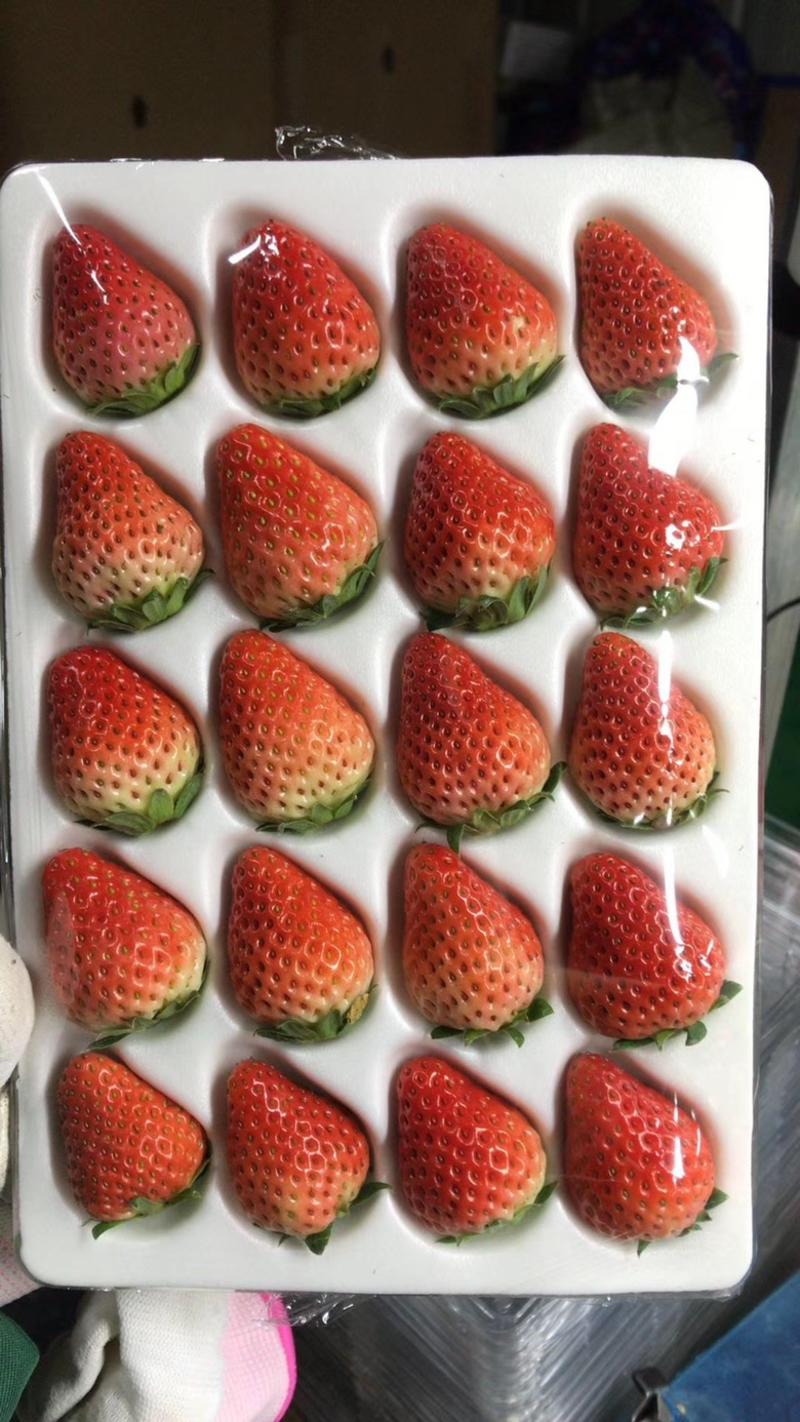四季草莓，德昌草莓，丹东草莓，安微草莓。
