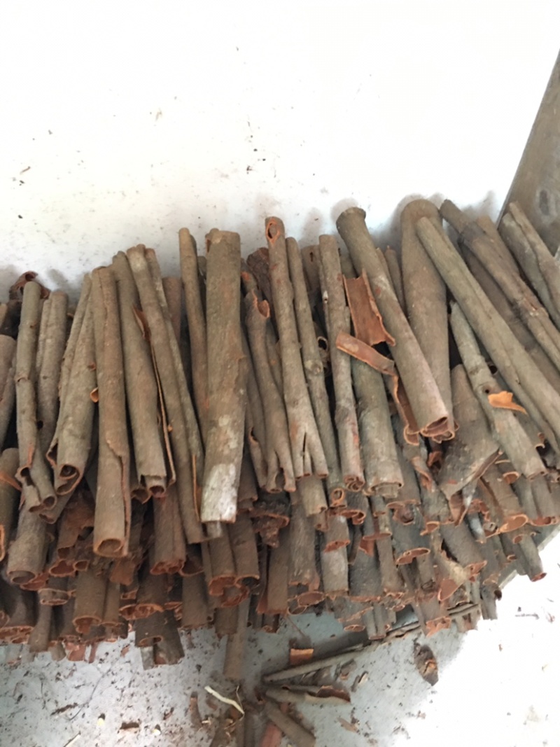 桂皮桂通小通中通大通肉桂广西产地直发足干大量批发