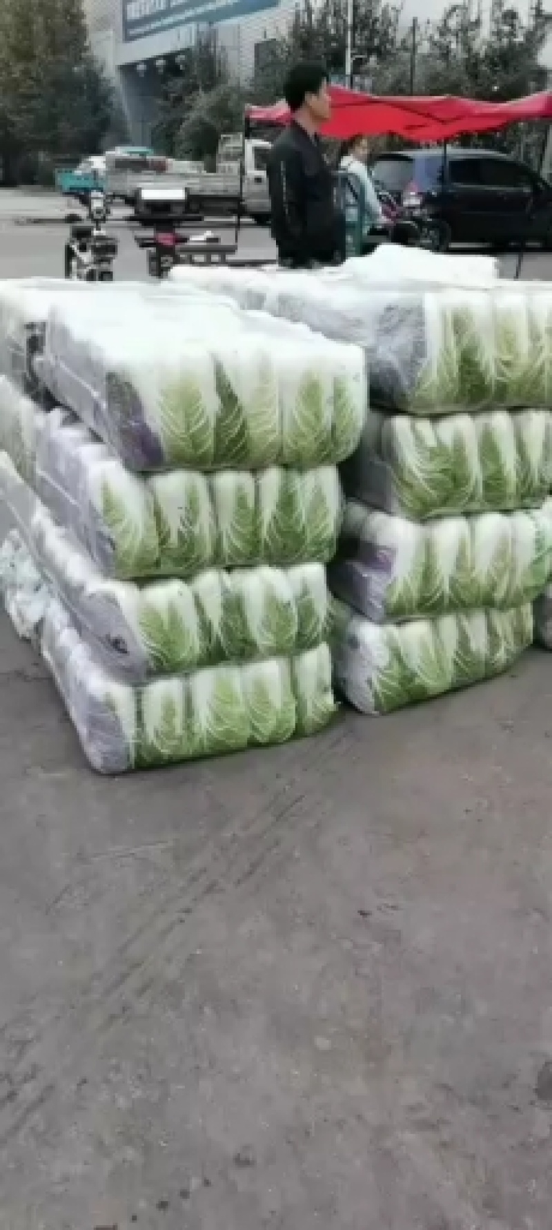 河北黄心大白菜质量好，无虫眼，需要的联系了