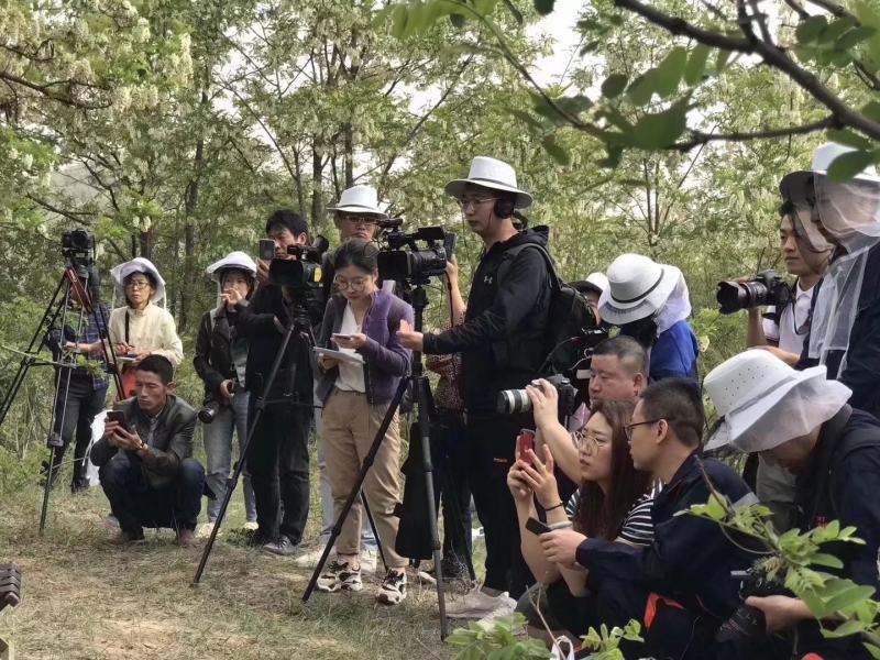 槐花蜜自产自销延安产42度浓度高支持一件代发，包邮