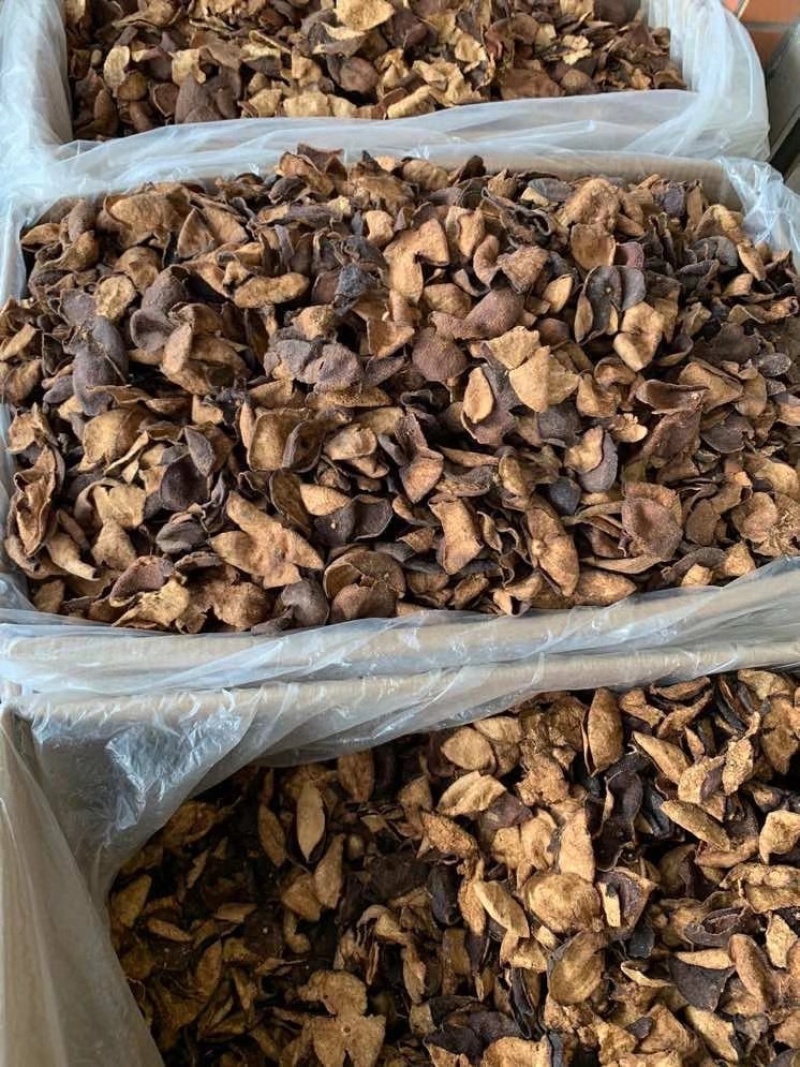 陈皮大量批发5年老陈皮新会陈皮陈皮干500g