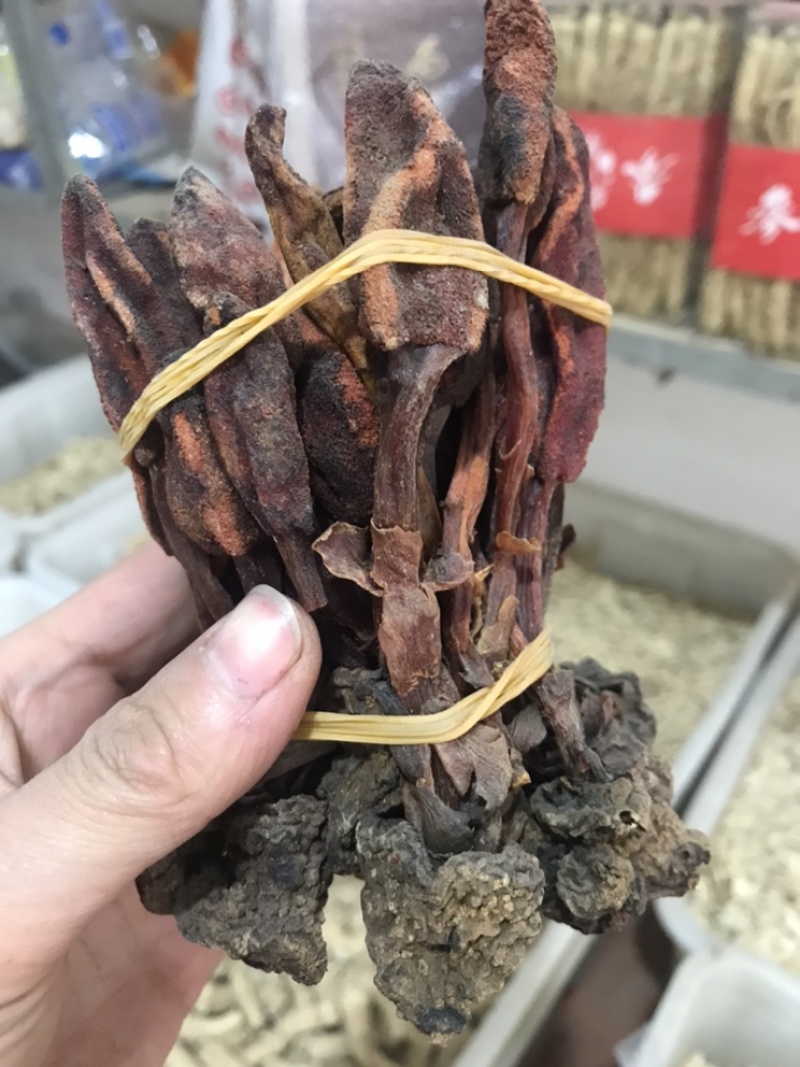 回春草顶天柱保庆药业回春草实拍现货干度好