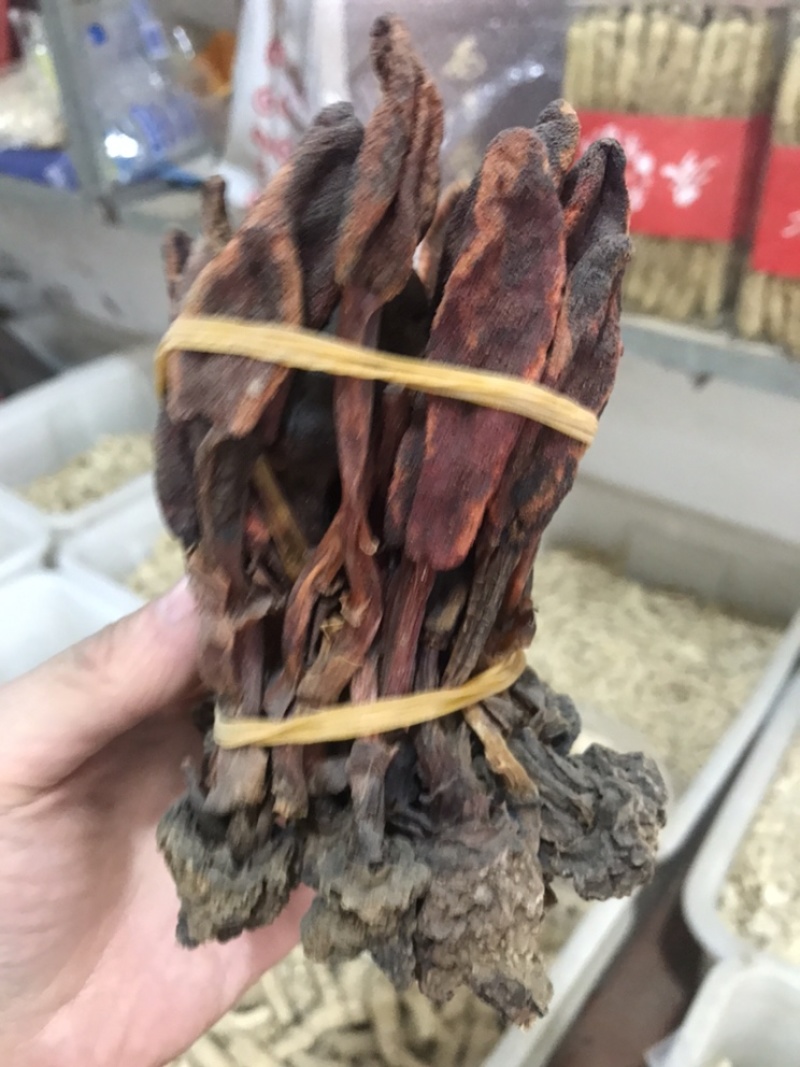 回春草顶天柱保庆药业回春草实拍现货干度好