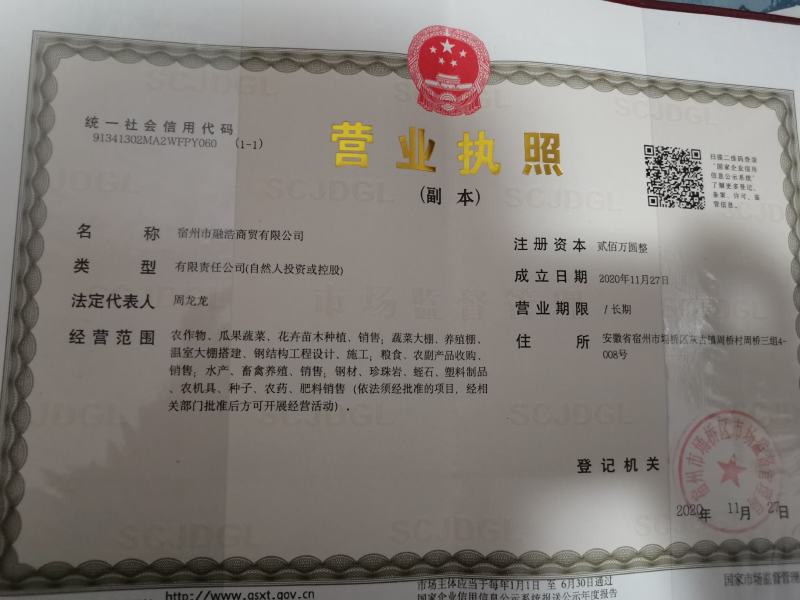 【热卖中】莴苣安徽莴笋新鲜采摘无空心产地直发代收团队