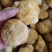 猴头菇大量批发欢迎新老客户选购量多从优，长期供应