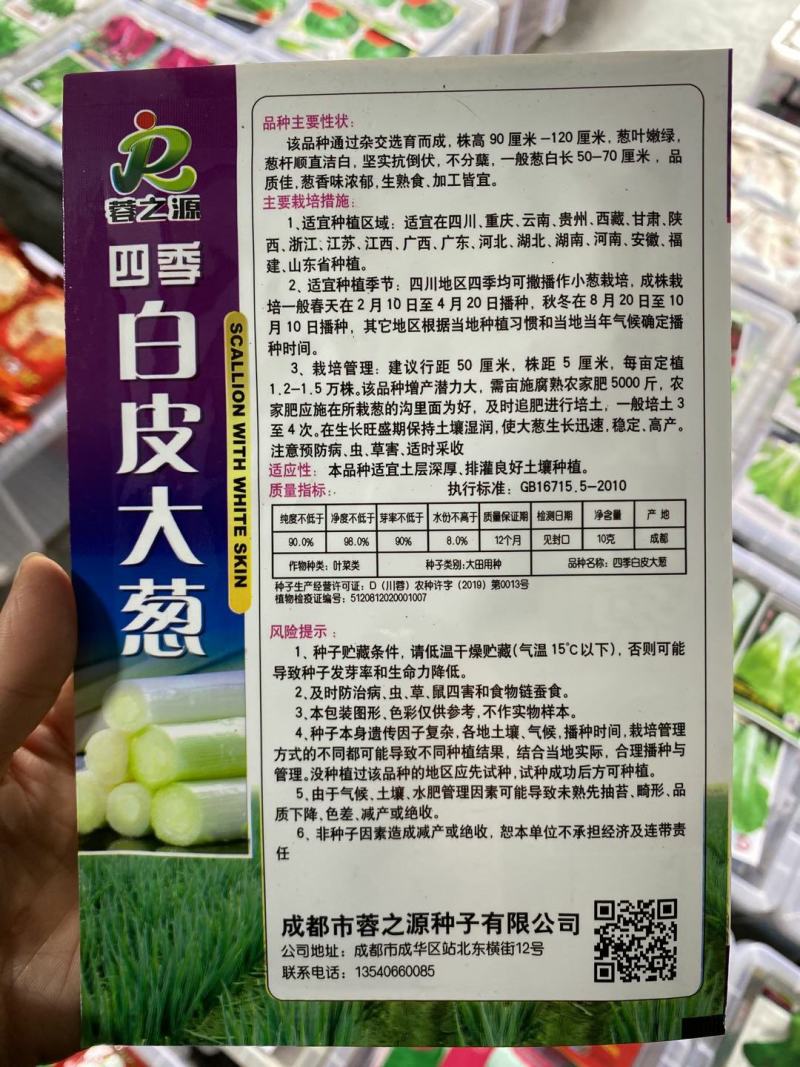 钢葱种子耐抽苔硬叶耐热耐涝欢迎咨询小叶葱