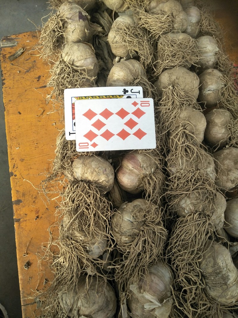 大蒜，本地种的紫皮，个大，味道浓烈