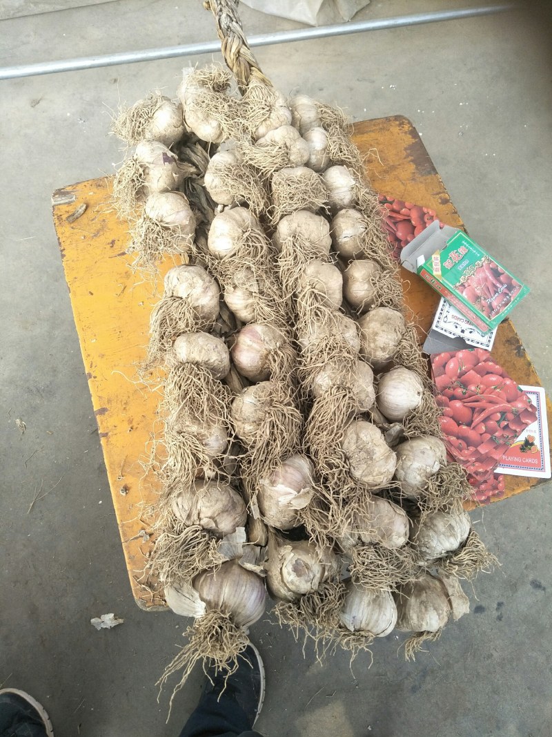 大蒜，本地种的紫皮，个大，味道浓烈