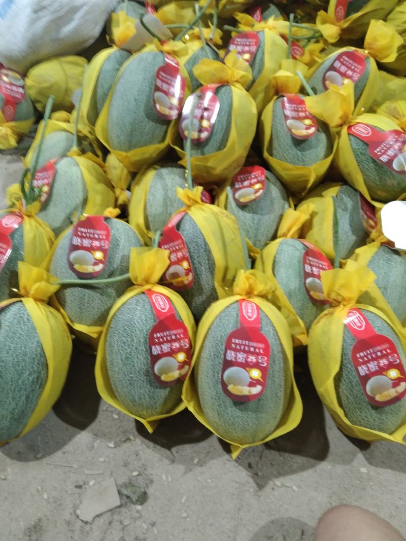 哈密瓜海南哈密瓜精品小密二十五号