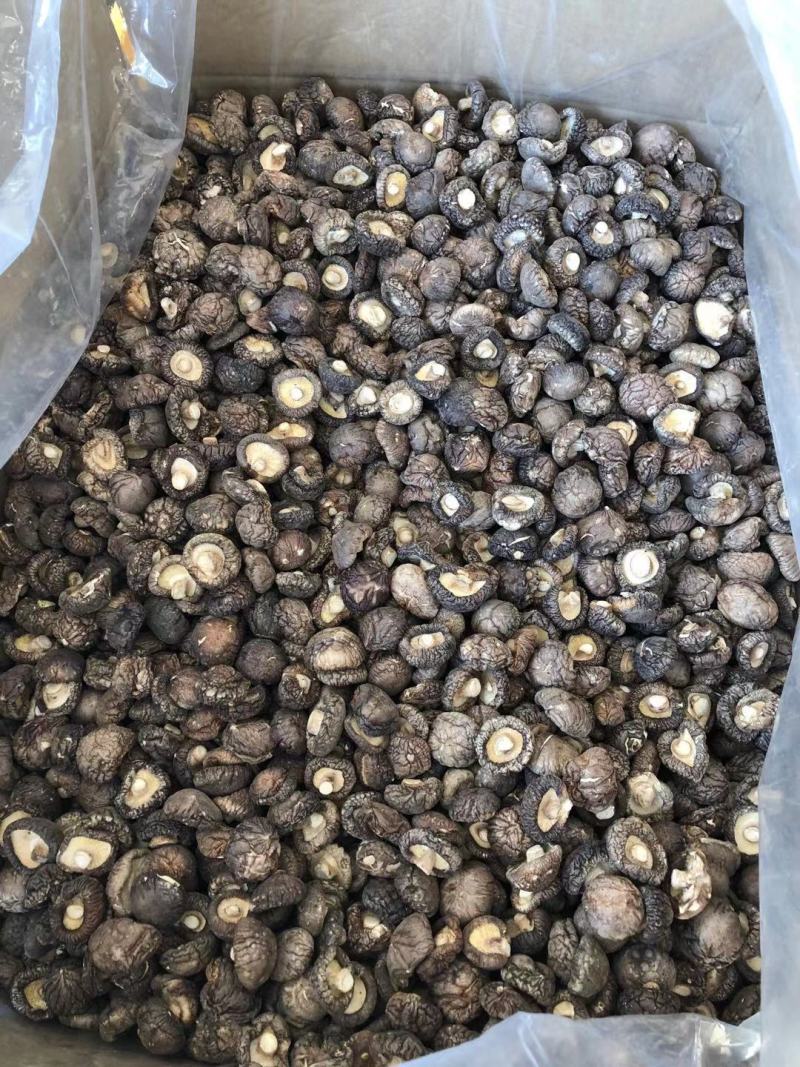 特级厚香菇干货黑面菇金钱菇食用菌原产地种植基地批发