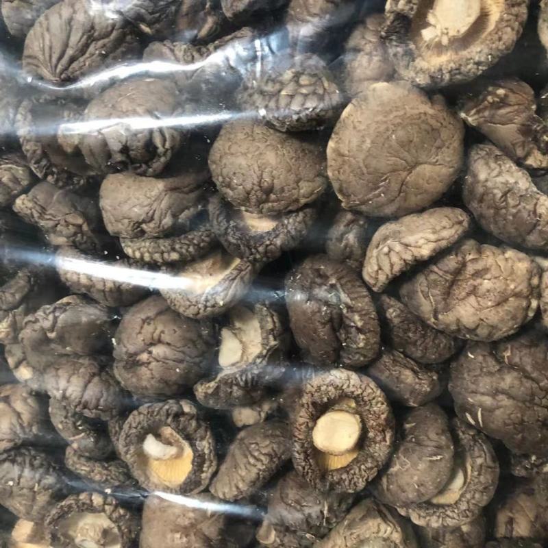 特级厚香菇干货黑面菇金钱菇食用菌原产地种植基地批发