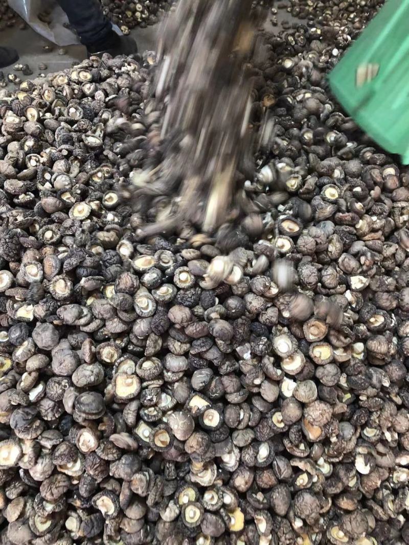 特级厚香菇干货黑面菇金钱菇食用菌原产地种植基地批发
