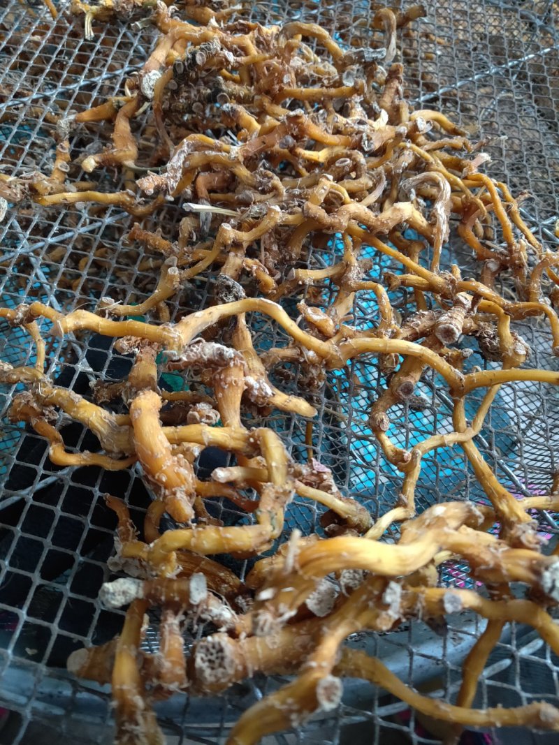 云南野生玉竹玉竹干无硫